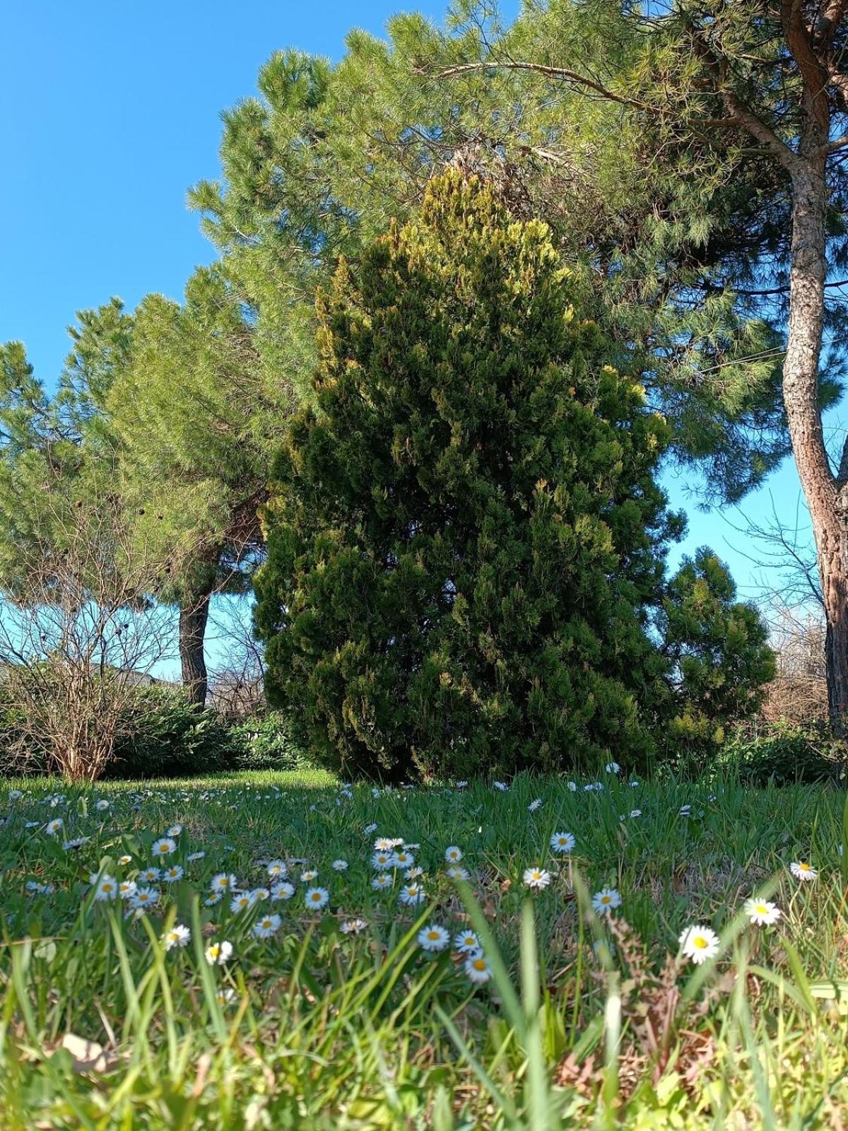فيلا Capricornio Club Diffuso Casa Carlotta Santa Maria della Versa المظهر الخارجي الصورة